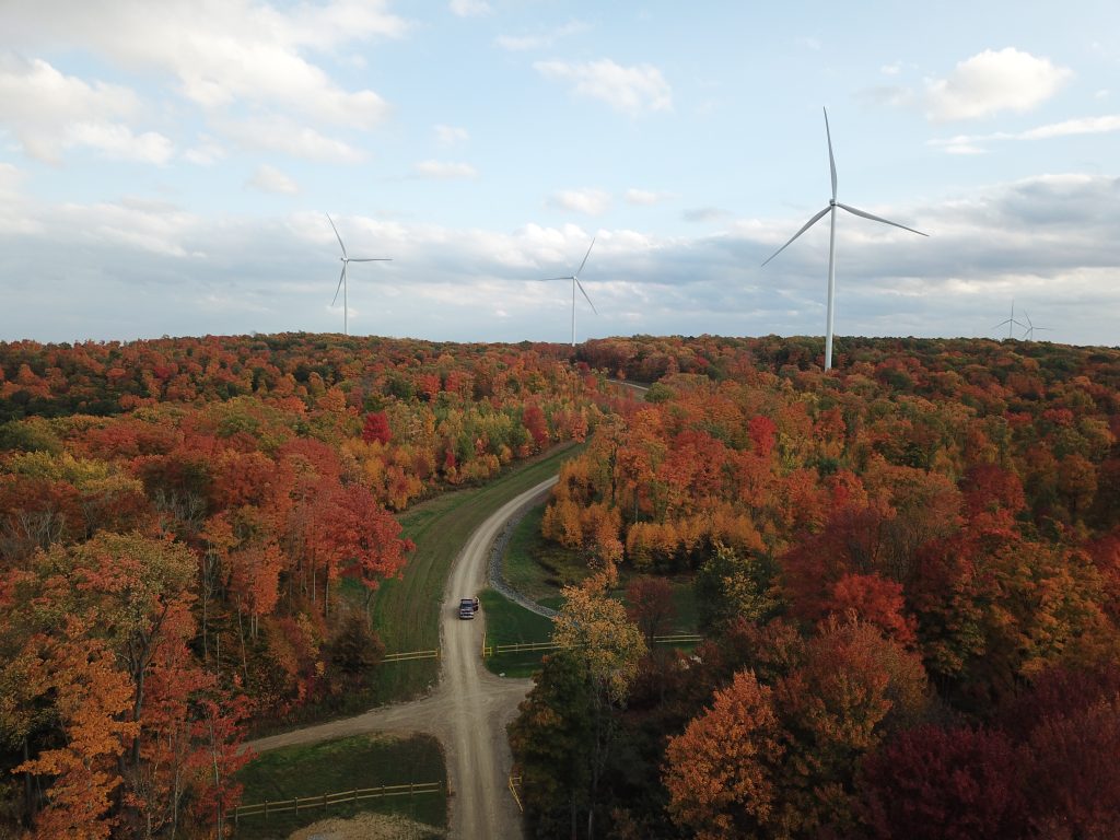 Big Level Wind Farm in the autumn